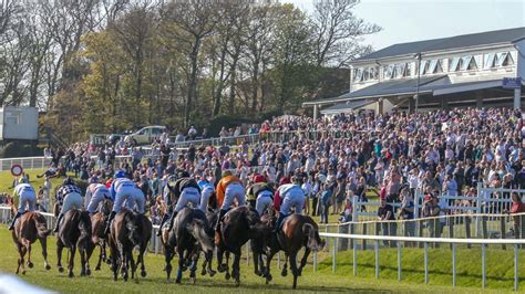 hexham horse racing results|Hexham Races Live Streaming .